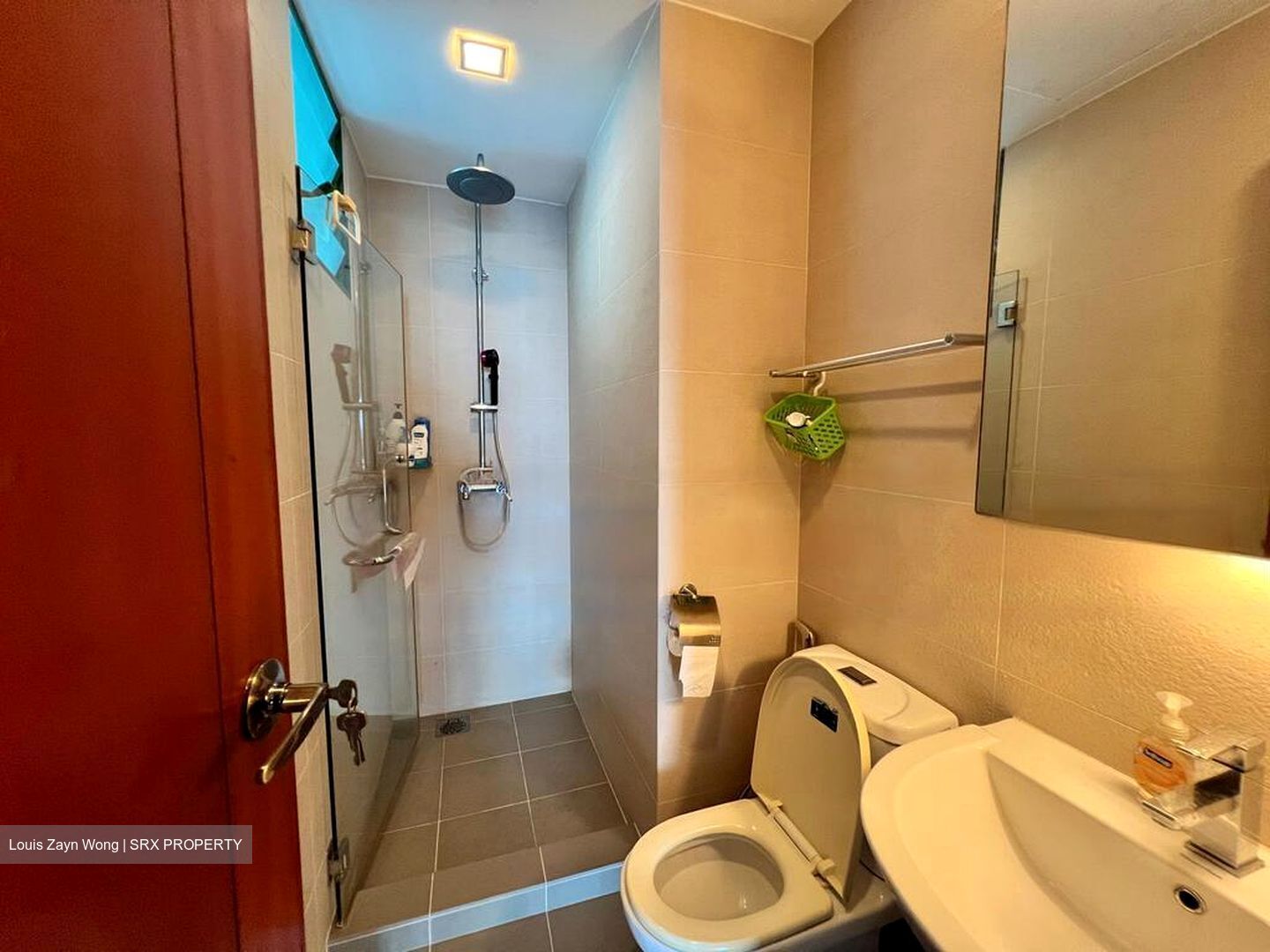 Signature Park (D21), Condominium #479661901